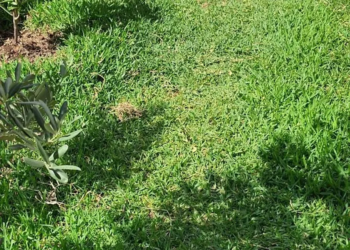 Apartamento Sahil Datça